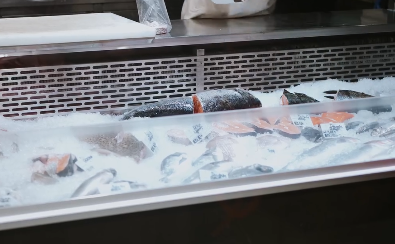 Seleção de Peixe Fresco