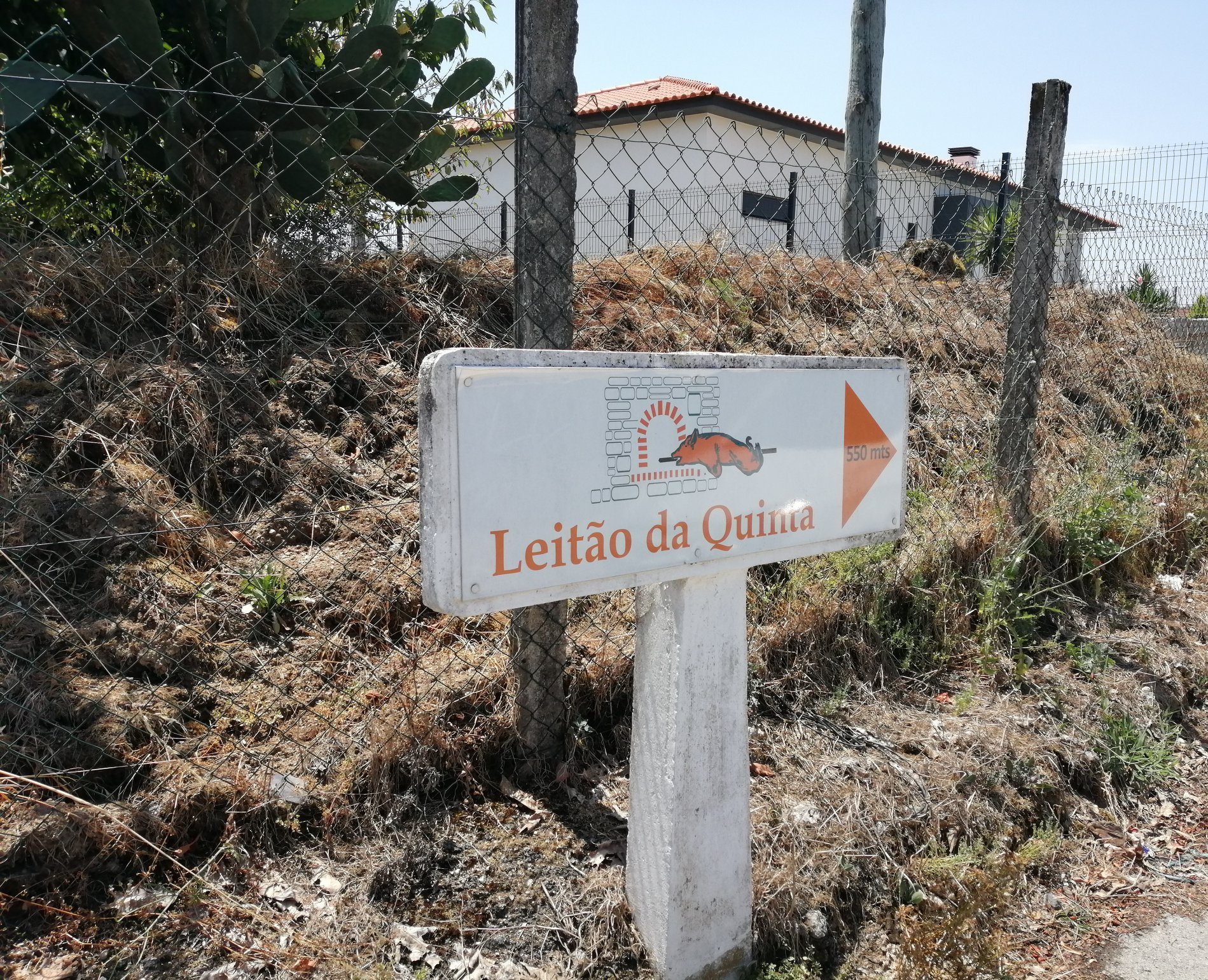 Leitão Assado Tradicional